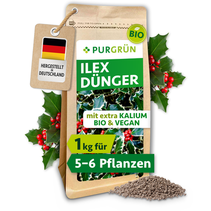 Purgrün Bio-Ilex-Dünger im 1-kg-Standbeutel mit Ilexblättern, roten Beeren und feinem Granulat.
