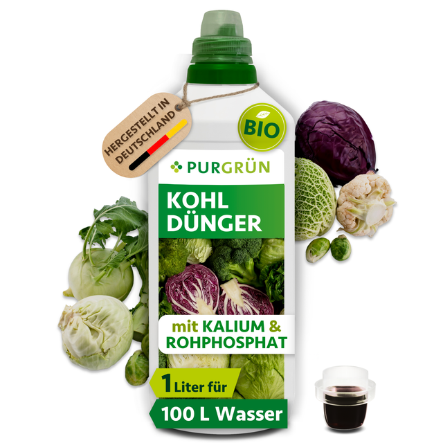 Purgrün Bio-Kohl-Dünger in der 1-Liter-Flasche mit Dosierkappe, umgeben von verschiedenen Kohlarten; reicht für ca. 100 Liter Gießwasser.