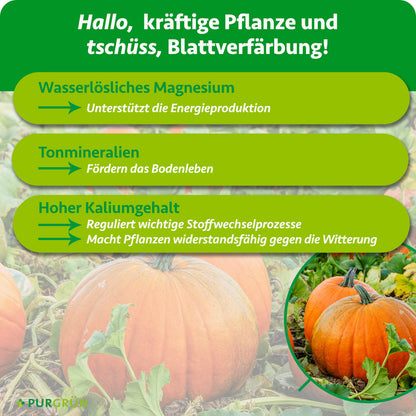 Wasserlösliches Magnesium unterstützt die Energieproduktion, Tonmineralien fördern das Bodenleben. Ein hoher Kaliumgehalt reguliert Stoffwechselprozesse und stärkt Pflanzen gegen Witterungseinflüsse.