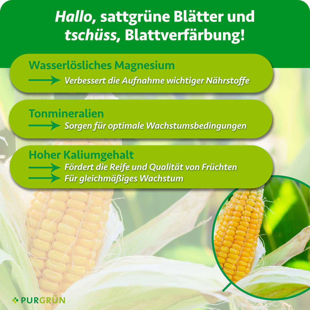 Wasserlösliches Magnesium verbessert die Nährstoffaufnahme, Tonmineralien schaffen optimale Wachstumsbedingungen. Hoher Kaliumgehalt fördert Reife, Fruchtqualität und gleichmäßiges Wachstum.