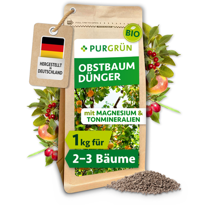 Purgrün Bio-Obstbaum-Dünger, 1 kg, im wiederverschließbaren Papierbeutel mit sichtbarem Krümelgranulat und Obstzweigen.