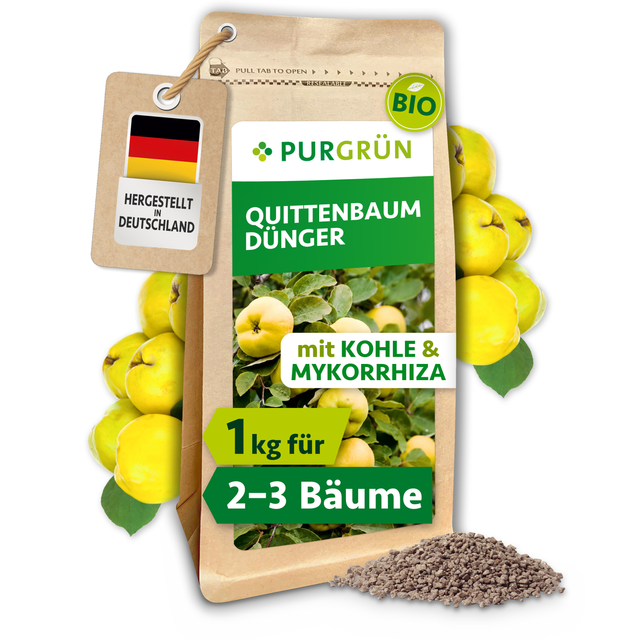 Purgrün Bio-Quittenbaum-Dünger im 1-kg-Beutel mit Kohle und Mykorrhiza, abgebildet mit Quitten und feinem Granulat.