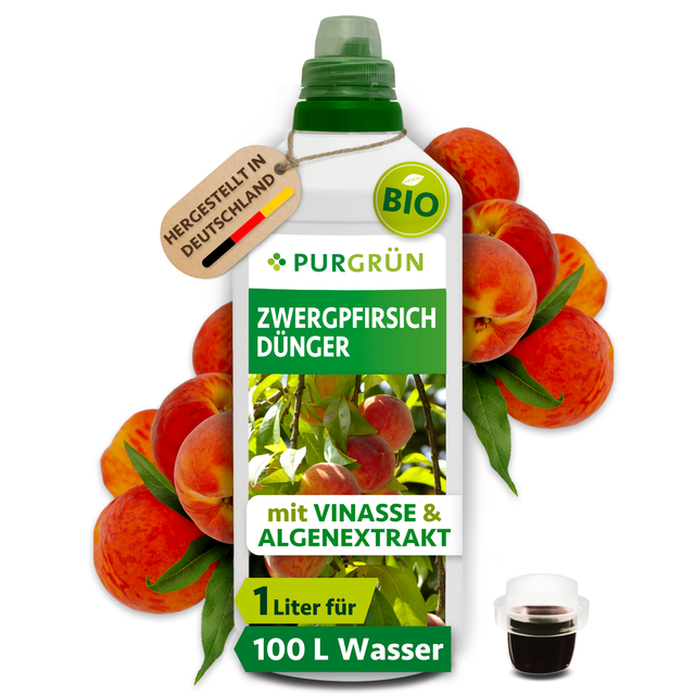 Purgrün Bio-Zwergpfirsich-Dünger in der 1-Liter-Flasche mit Dosierkappe, umgeben von reifen Pfirsichen.