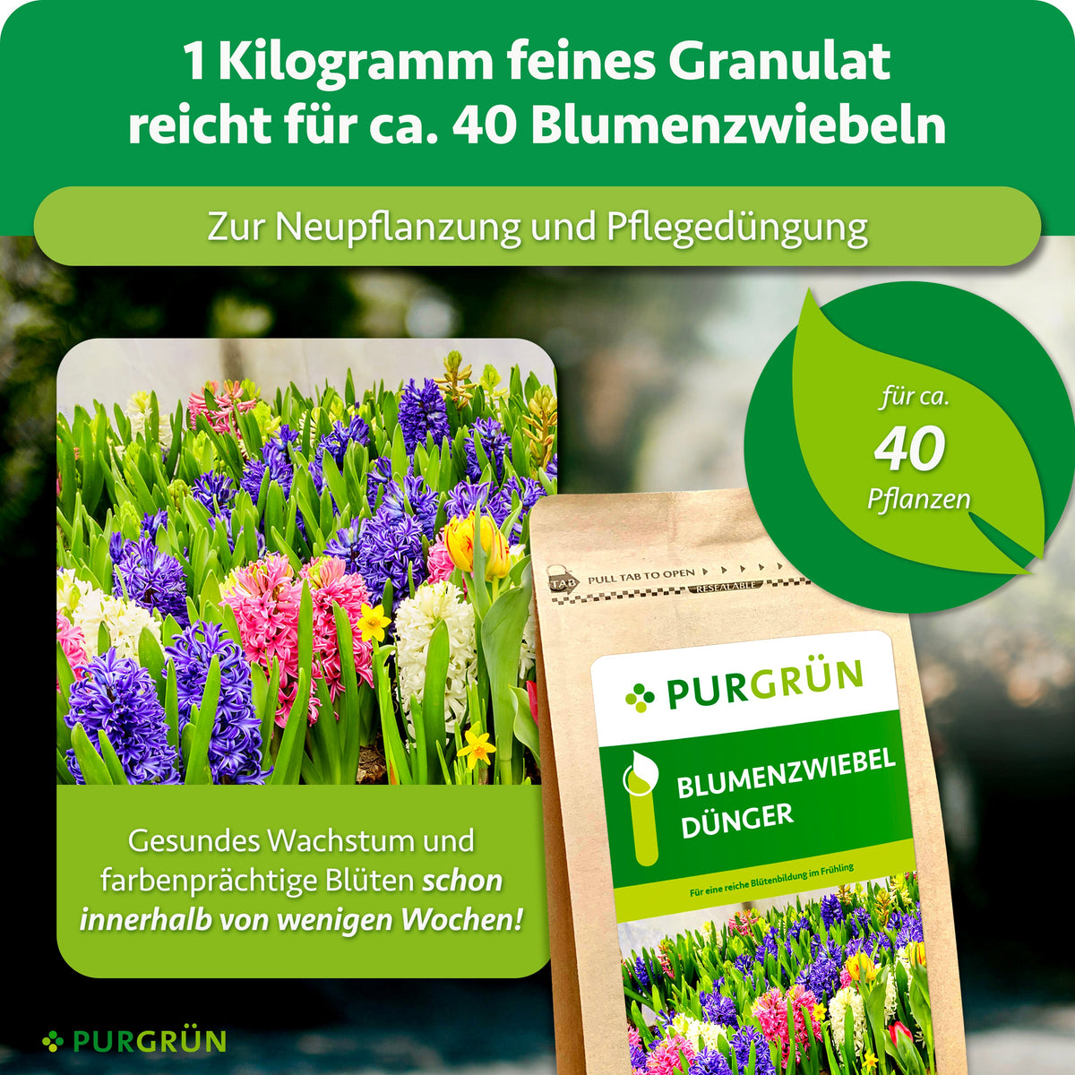 Ein Kilogramm feines Granulat reicht für ca. 40 Blumenzwiebeln und eignet sich zur Neupflanzung und Pflegedüngung.