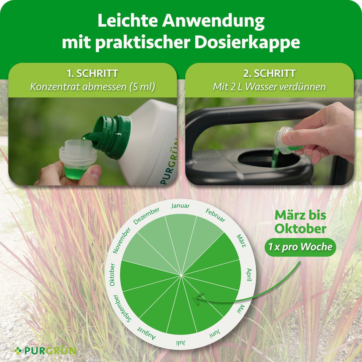 Anwendung: 5 ml Konzentrat mit der Dosierkappe abmessen, mit 2 L Wasser verdünnen und von März bis Oktober 1x pro Woche düngen.
