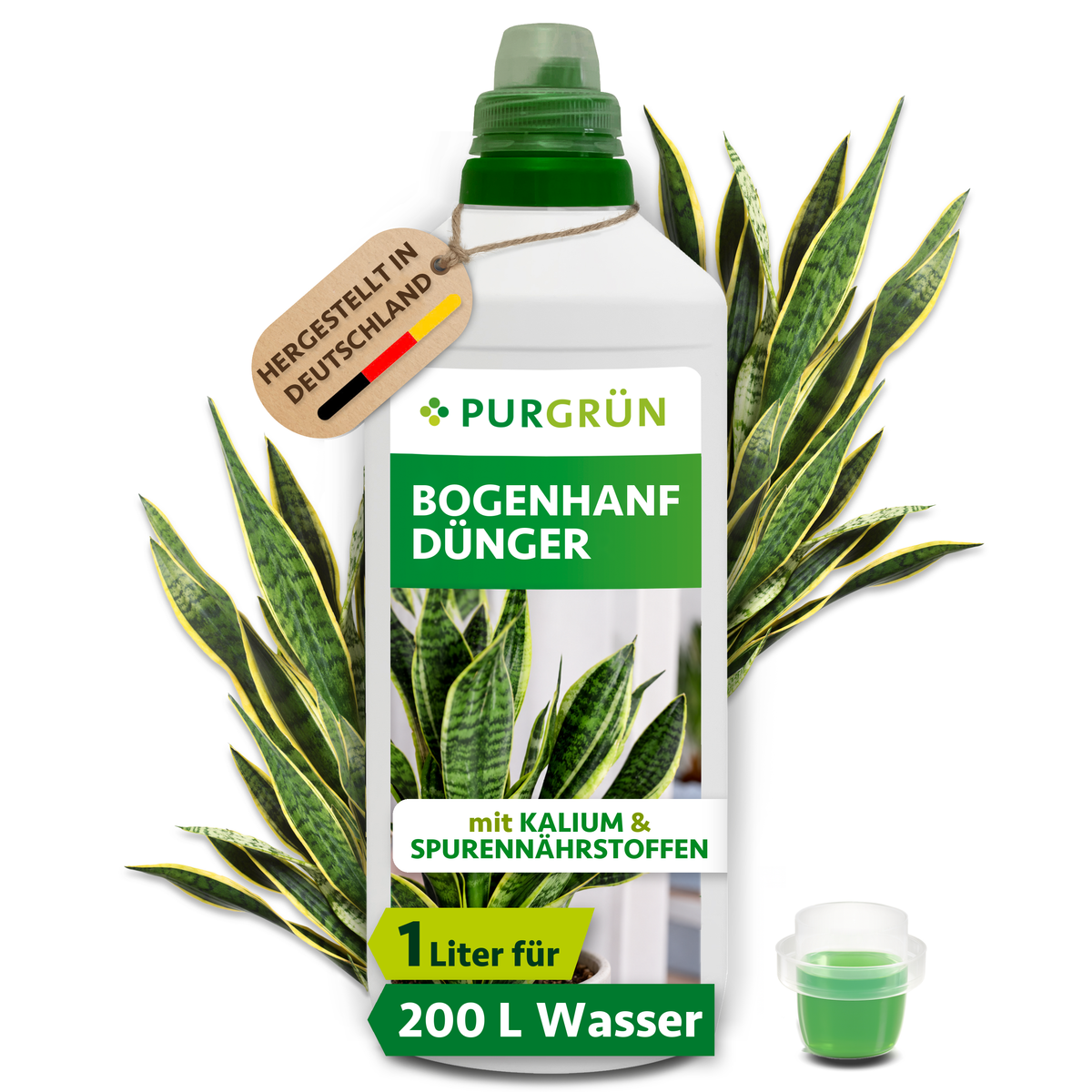 1-Liter-Flasche Purgrün Bogenhanf-Dünger vor Bogenhanfblättern, mit Dosierkappe und Hinweis „für ca. 200 Liter Gießwasser“.