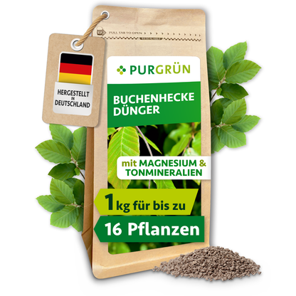 Purgrün Buchenhecke-Dünger im 1-kg-Beutel mit Buchenblättern und feinem Granulat, ausreichend für bis zu 16 Heckenpflanzen.