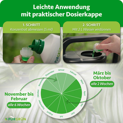 Anwendung: 5 ml Konzentrat abmessen und mit 2 l Wasser verdünnen. Von März bis Oktober alle 2 Wochen, von November bis Februar alle 6 Wochen düngen.