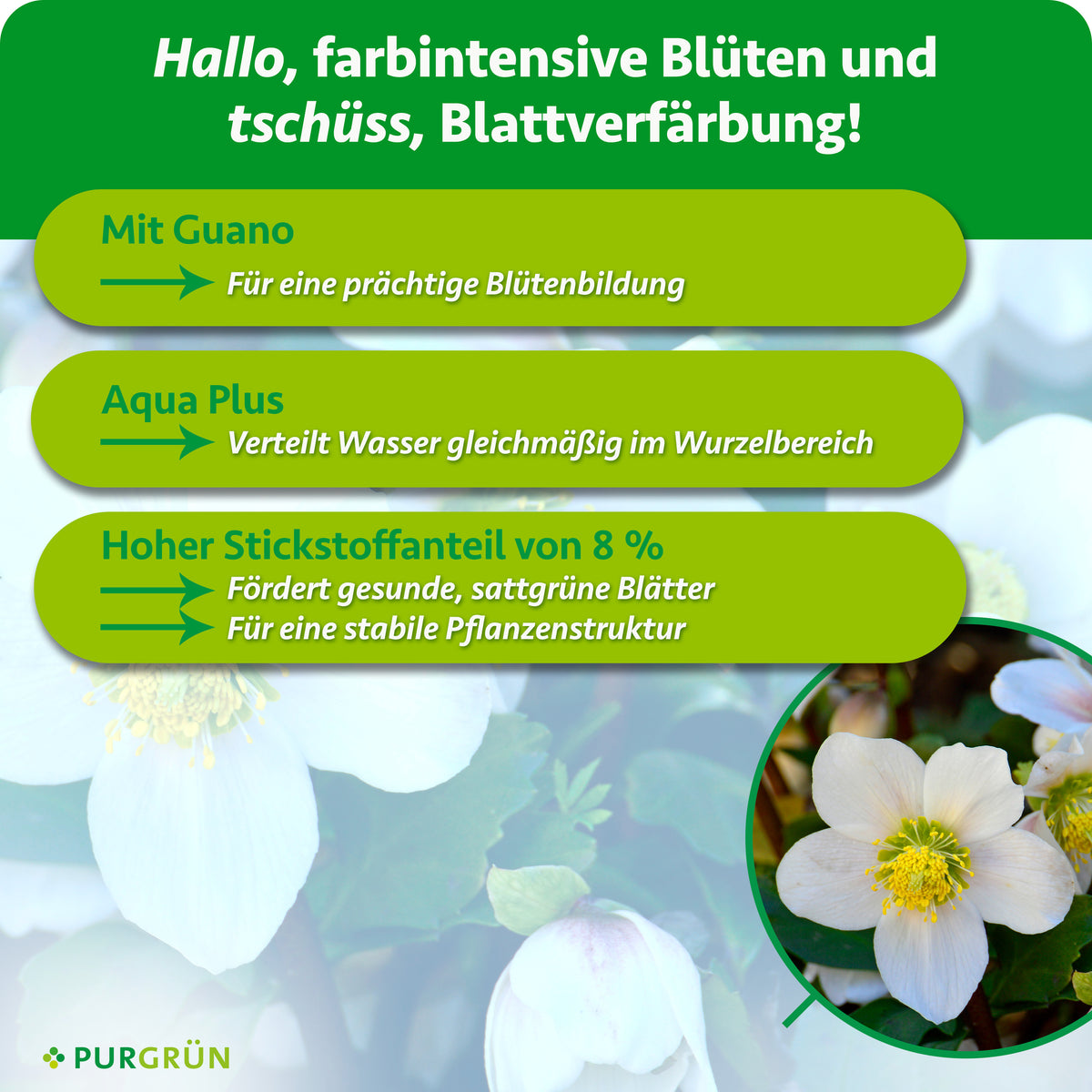 Mit Guano für eine prächtige Blütenbildung. Aqua Plus verteilt Wasser gleichmäßig im Wurzelbereich. 8 % Stickstoff fördern sattgrüne Blätter und eine stabile Pflanzenstruktur.
