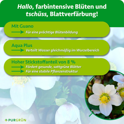 Mit Guano für eine prächtige Blütenbildung. Aqua Plus verteilt Wasser gleichmäßig im Wurzelbereich. 8 % Stickstoff fördern sattgrüne Blätter und eine stabile Pflanzenstruktur.