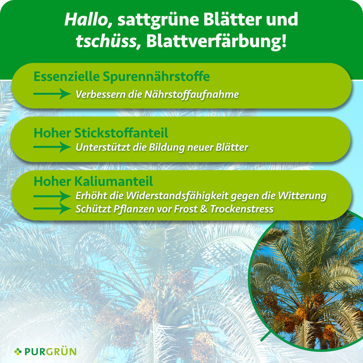 Spurennährstoffe verbessern die Nährstoffaufnahme, Stickstoff unterstützt neue Blätter und Kalium stärkt gegen Witterungseinflüsse, Frost und Trockenstress.