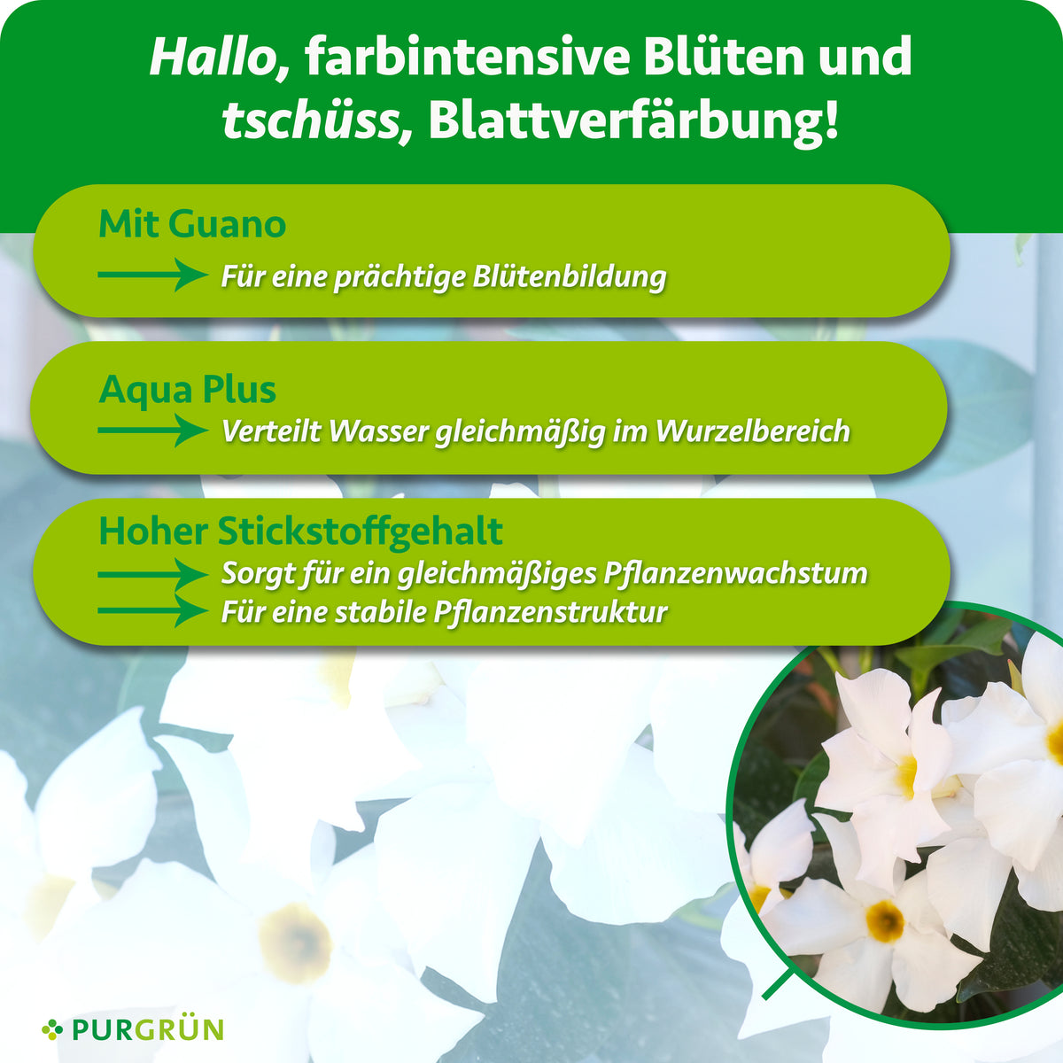 Mit Guano für eine prächtige Blütenbildung. Aqua Plus verteilt Wasser gleichmäßig im Wurzelbereich; hoher Stickstoffgehalt fördert gleichmäßiges Wachstum und eine stabile Pflanzenstruktur.