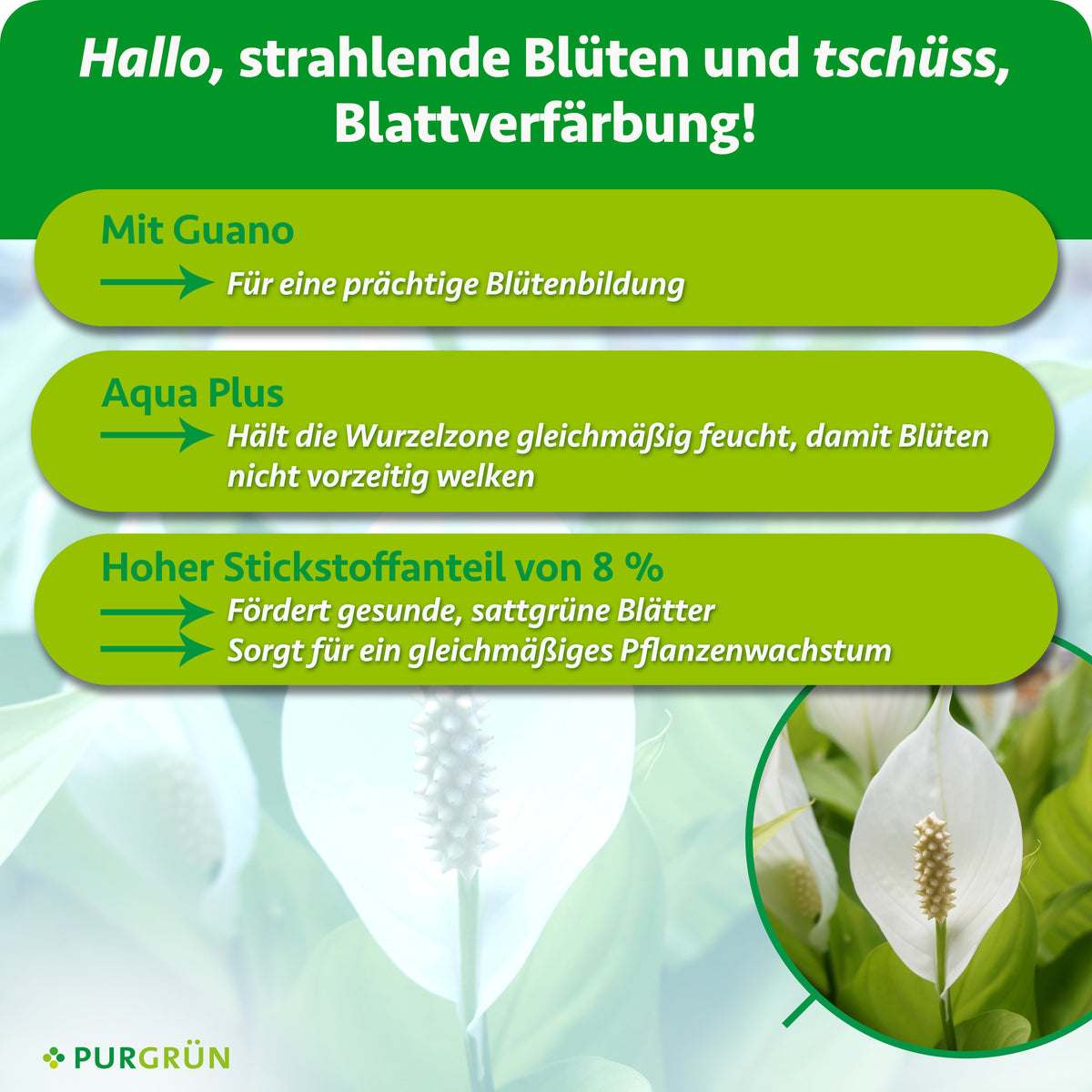 Mit Guano für eine prächtige Blütenbildung. Aqua Plus hält die Wurzelzone gleichmäßig feucht. 8 % Stickstoff fördern sattgrüne Blätter und gleichmäßiges Wachstum.