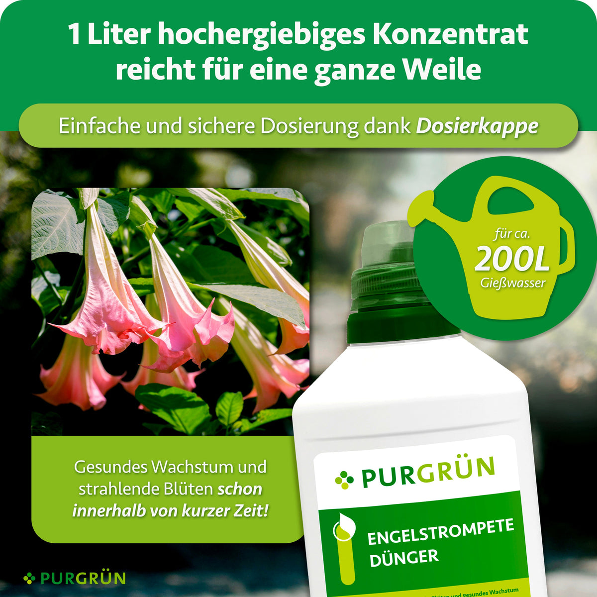 1 Liter Engelstrompete-Dünger als Konzentrat mit Dosierkappe reicht für etwa 200 Liter Gießwasser.