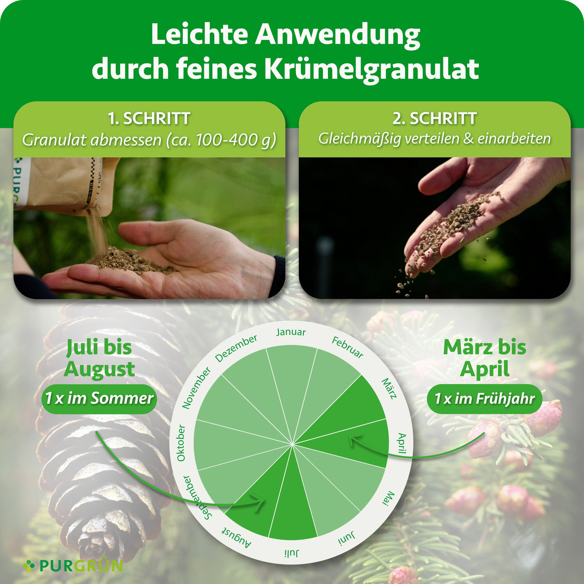 Anwendung: ca. 100-400 g Granulat abmessen, gleichmäßig verteilen und einarbeiten; 1 x im Frühjahr von März bis April und 1 x im Sommer von Juli bis August.