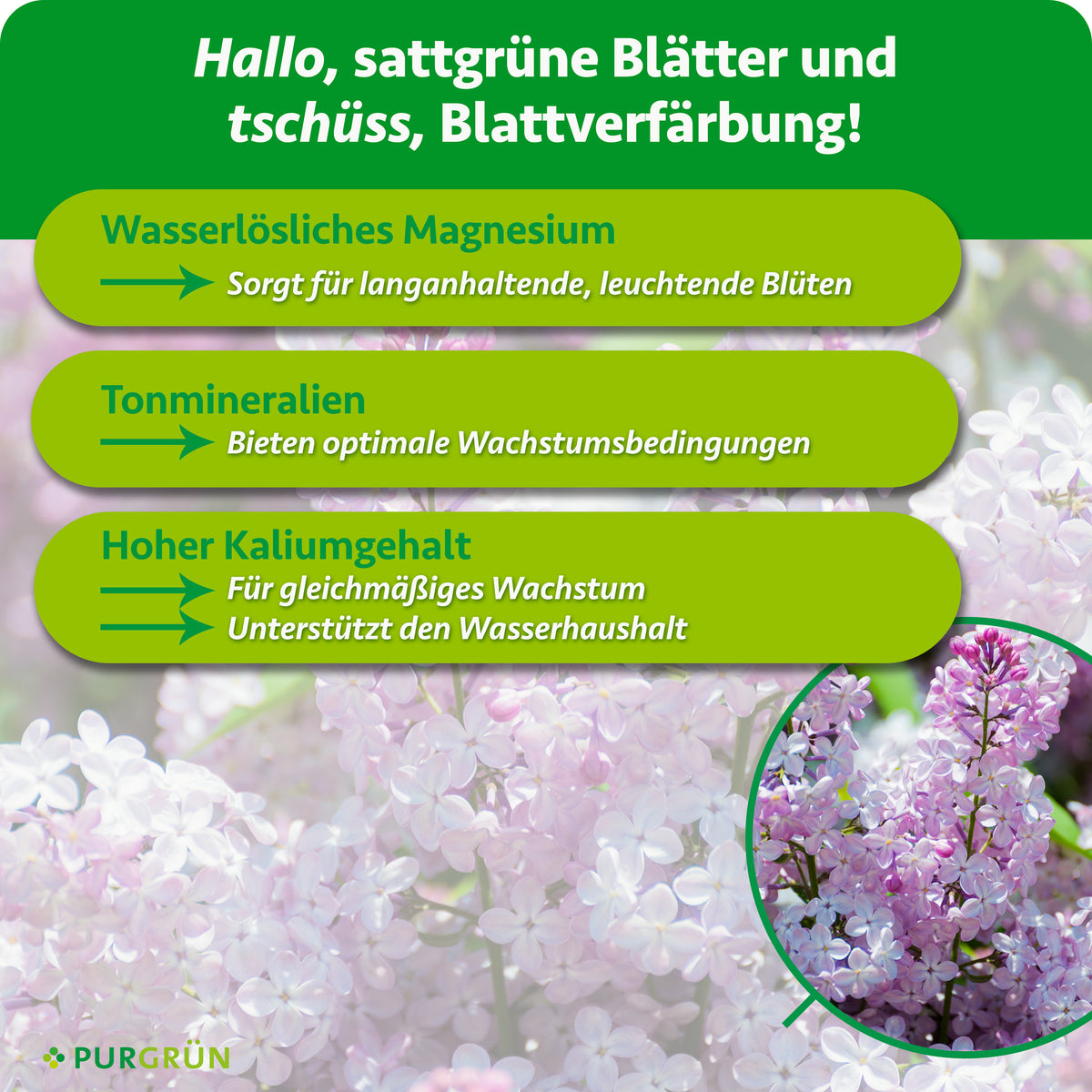 Wasserlösliches Magnesium sorgt für langanhaltende, leuchtende Blüten, Tonmineralien bieten optimale Wachstumsbedingungen. Hoher Kaliumgehalt fördert gleichmäßiges Wachstum und unterstützt den Wasserhaushalt.