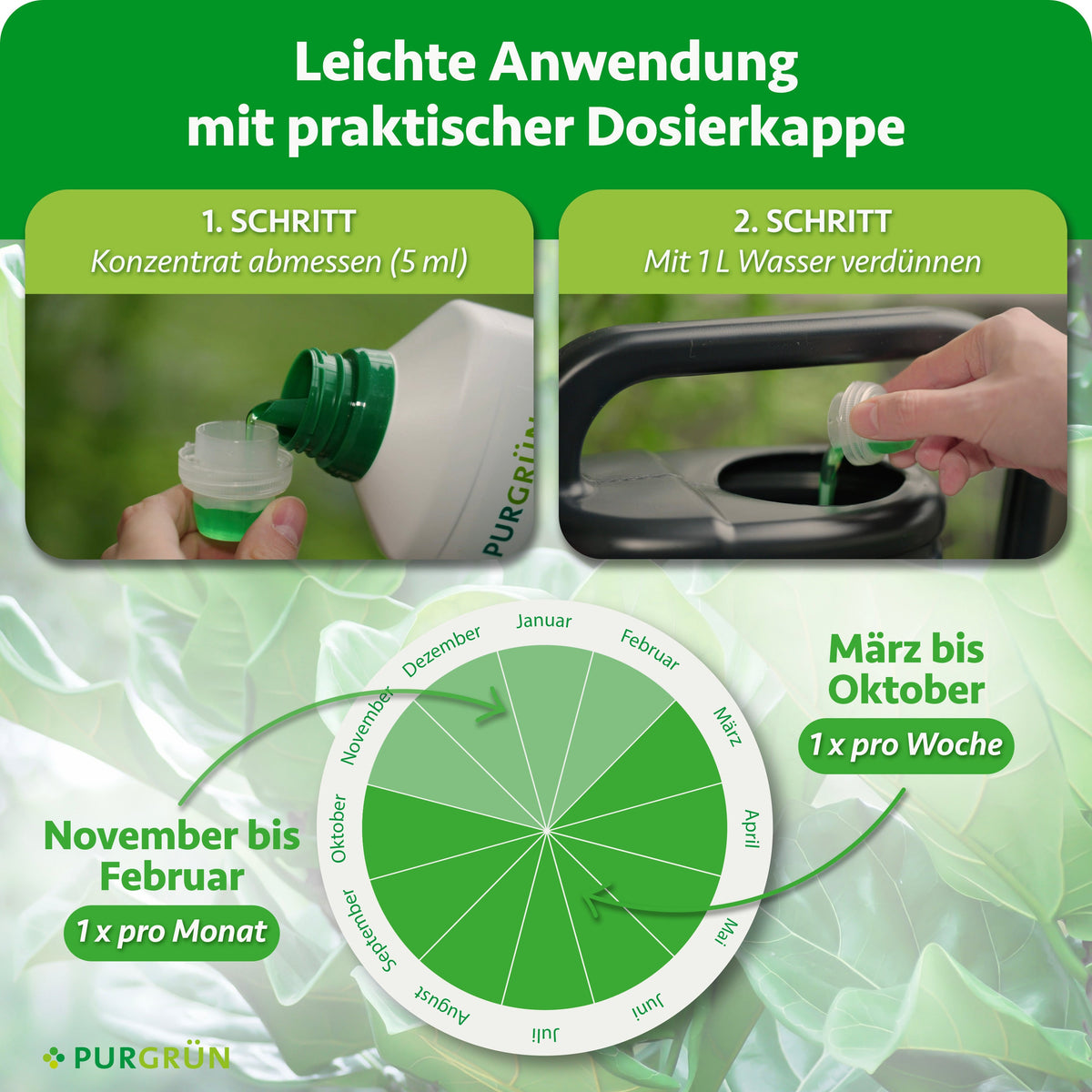 Anwendung: 5 ml Konzentrat mit 1 Liter Wasser verdünnen. Von März bis Oktober einmal pro Woche, von November bis Februar einmal pro Monat düngen.