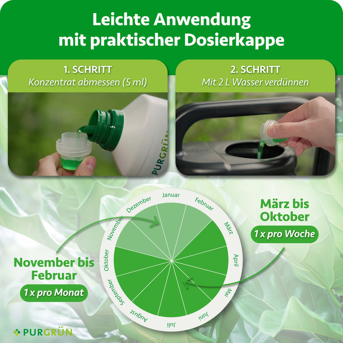 Anwendung: 5 ml Konzentrat mit 2 Litern Wasser verdünnen. Von März bis Oktober einmal pro Woche, von November bis Februar einmal pro Monat düngen.