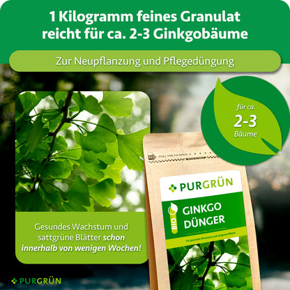 1 kg feines Granulat reicht für ca. 2–3 Ginkgobäume und eignet sich zur Neupflanzung und Pflegedüngung. Die Grafik verspricht gesundes Wachstum und sattgrüne Blätter innerhalb von wenigen Wochen.