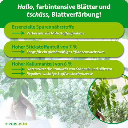 Essenzielle Spurennährstoffe verbessern die Nährstoffaufnahme; 7 % Stickstoff fördern gleichmäßiges Wachstum, 6 % Kalium unterstützen Stängel, Blätter und Stoffwechselprozesse.
