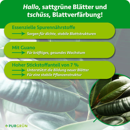Essenzielle Spurennährstoffe sorgen für dichte, stabile Blattstrukturen. Mit Guano für kräftiges, gesundes Wachstum. 7 % Stickstoff unterstützen neue Blätter und eine stabile Pflanzenstruktur.