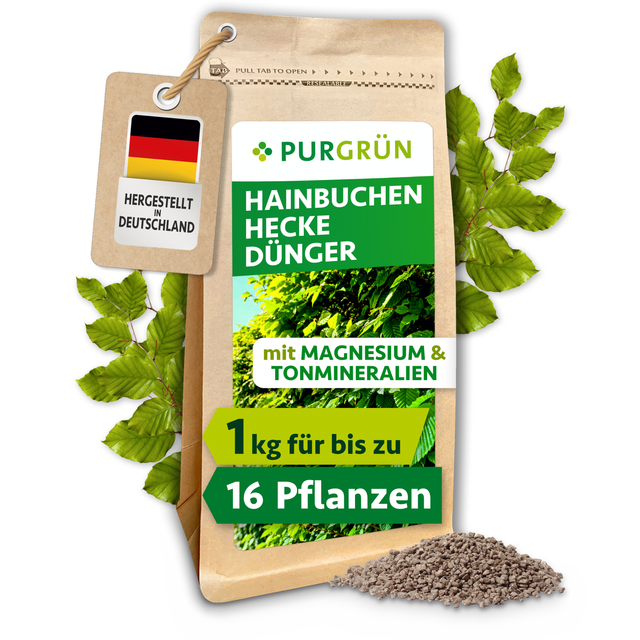 Purgrün Hainbuchenhecke-Dünger im 1-kg-Standbeutel, umgeben von Hainbuchenblättern und feinem Granulat.