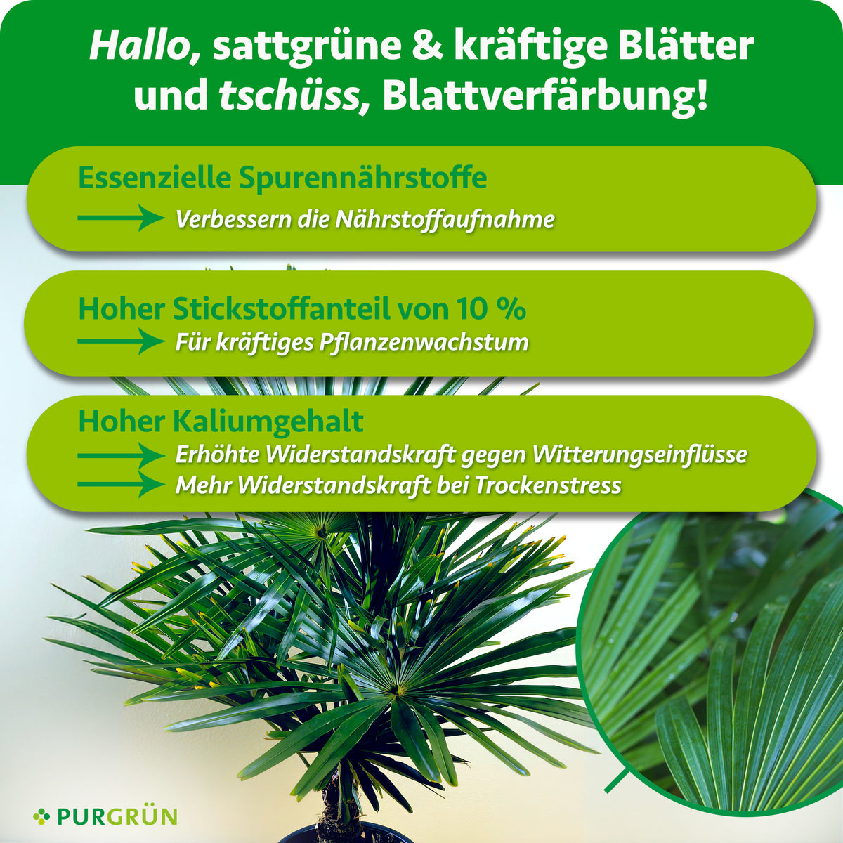 Essenzielle Spurennährstoffe verbessern die Nährstoffaufnahme, 10 % Stickstoff fördern kräftiges Wachstum und Kalium erhöht die Widerstandskraft gegen Witterungseinflüsse und bei Trockenstress.