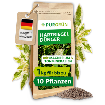 Purgrün Hartriegel-Dünger, 1 kg, im wiederverschließbaren Kraftpapierbeutel mit Hartriegelblüten und sichtbarem Krümelgranulat.