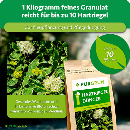 1 kg feines Granulat reicht für bis zu 10 Hartriegel und eignet sich zur Neupflanzung und Pflegedüngung.