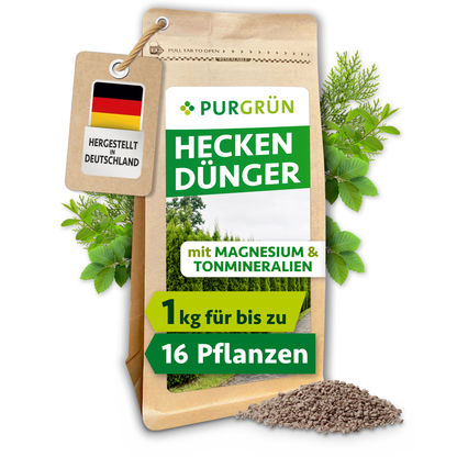 Purgrün Heckendünger im 1-kg-Beutel mit Magnesium und Tonmineralien, ausreichend für bis zu 16 Heckenpflanzen.