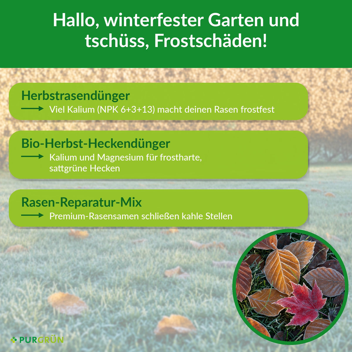 Herbst-Bundle: Vorteile von Herbstrasendünger, Bio-Herbst-Heckendünger und Rasen-Reparatur-Mix