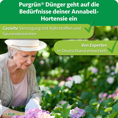Purgrün Hortensie-Annabell-Dünger: gezielte Versorgung mit Nährstoffen und Spurenelementen, von Experten in Deutschland entwickelt.