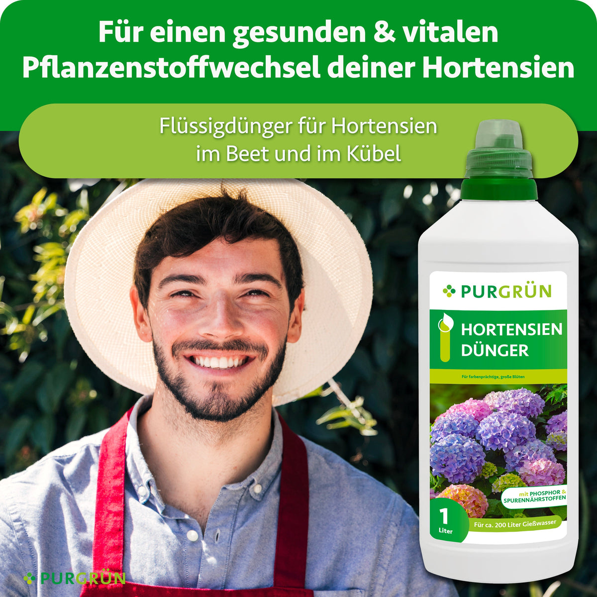 Ein lächelnder Mann mit Strohhut und roter Schürze steht hinter einer Flasche Purgrün Hortensiendünger 1 Liter, mit blühenden Hortensien und einem Text über gesunde Pflanzenernährung im Hintergrund.