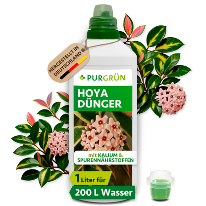 Purgrün Hoya-Dünger in der 1-Liter-Flasche mit Dosierkappe, umgeben von Hoya-Blüten und Blättern, mit Anhänger „Hergestellt in Deutschland“.