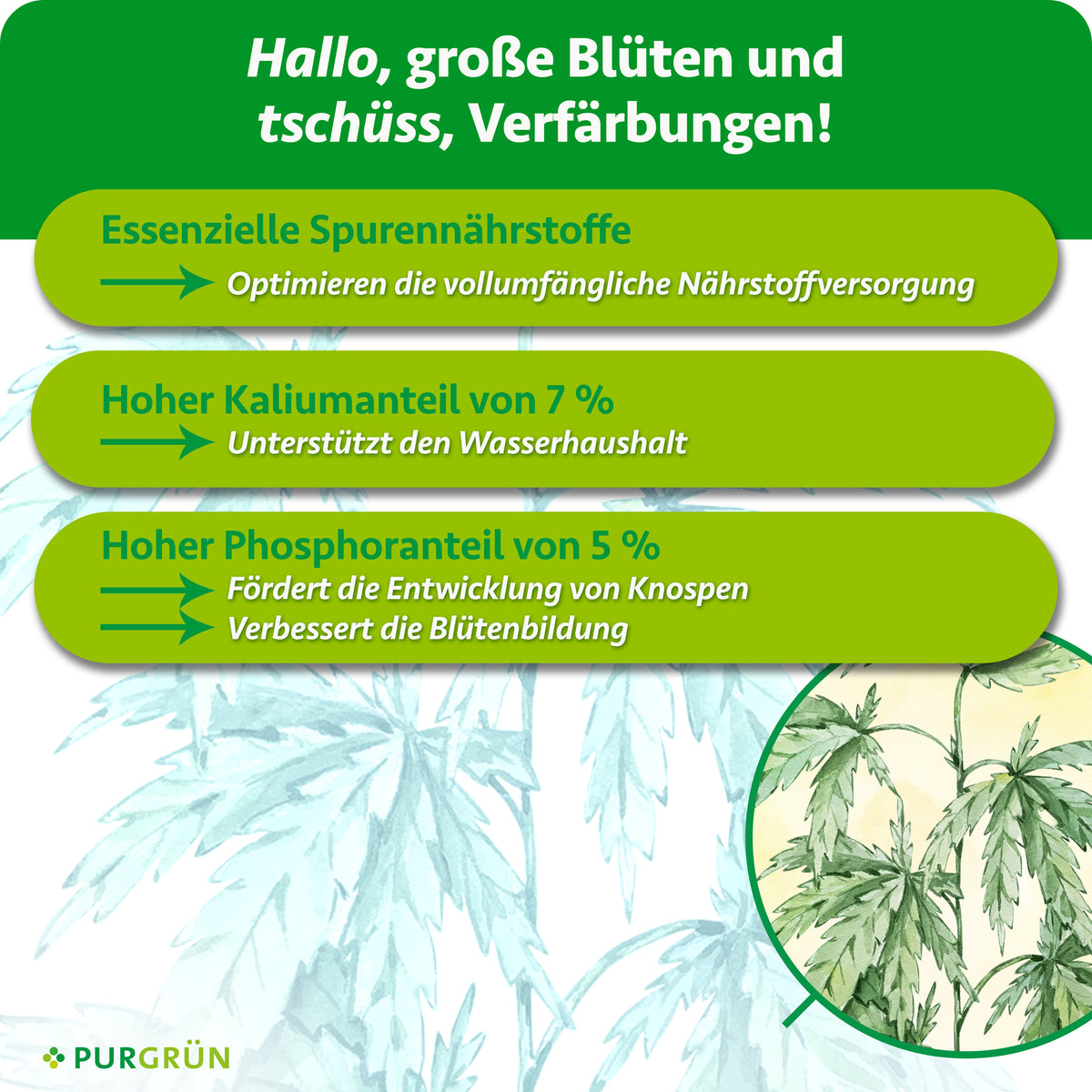 Essenzielle Spurennährstoffe optimieren die Nährstoffversorgung; 7 % Kalium unterstützen den Wasserhaushalt, 5 % Phosphor fördern Knospenentwicklung und Blütenbildung.
