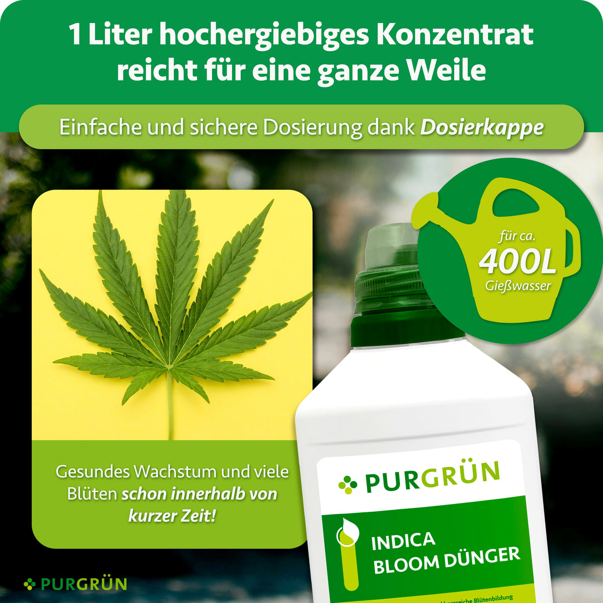 1 Liter hochergiebiges Konzentrat mit Dosierkappe reicht laut Grafik für ca. 400 Liter Gießwasser.