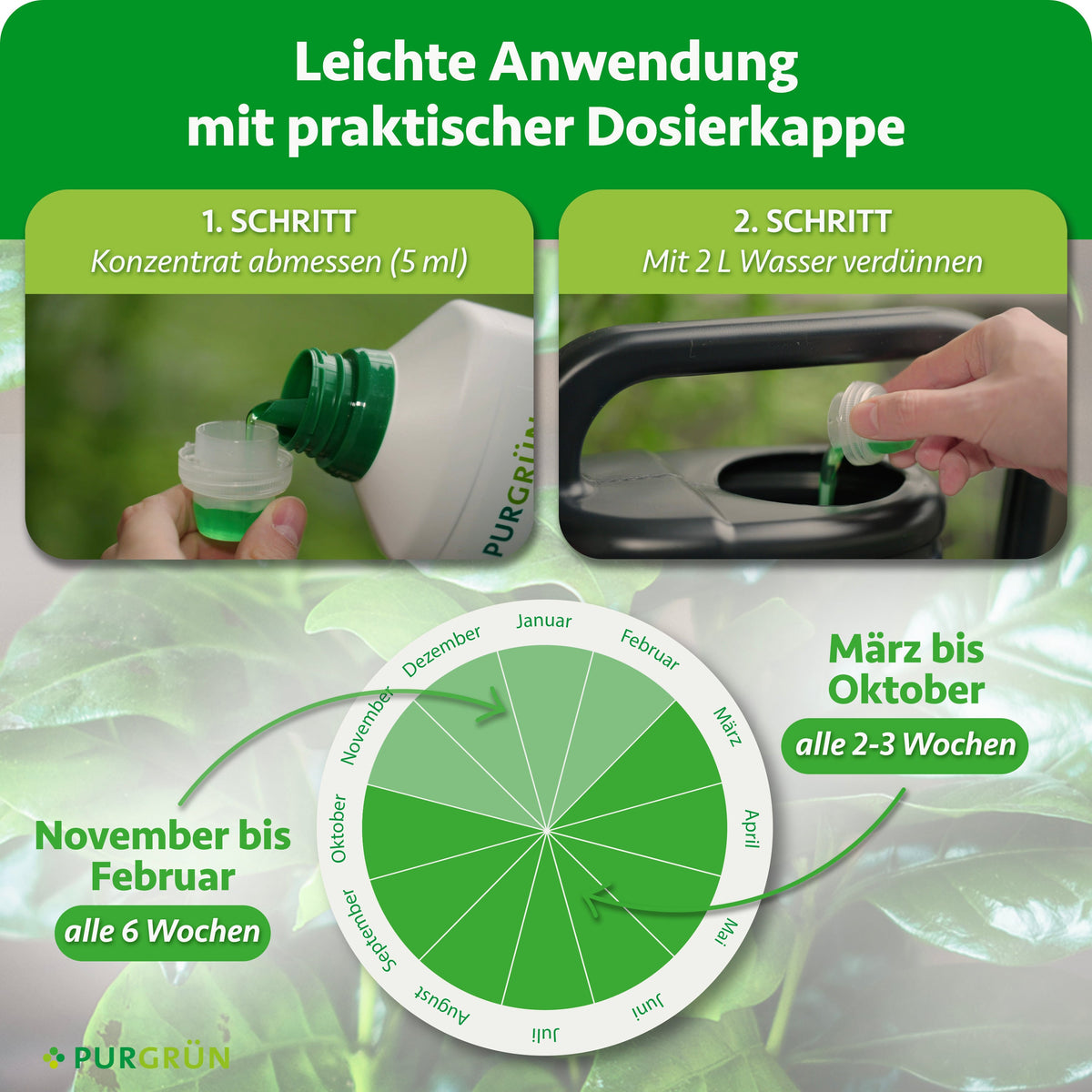 Anwendung: 5 ml Konzentrat abmessen und mit 2 L Wasser verdünnen. Von März bis Oktober alle 2–3 Wochen, von November bis Februar alle 6 Wochen düngen.