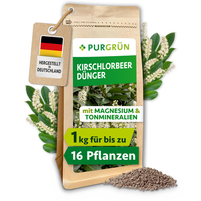 Purgrün Kirschlorbeer-Dünger im 1-kg-Standbeutel mit sichtbarem Granulat und blühendem Kirschlorbeer; mit Magnesium und Tonmineralien für bis zu 16 Heckenpflanzen.