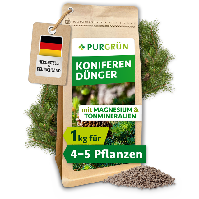 Purgrün Koniferendünger im 1-kg-Kraftpapierbeutel, umgeben von Koniferenzweigen, Zapfen und feinem Granulat.