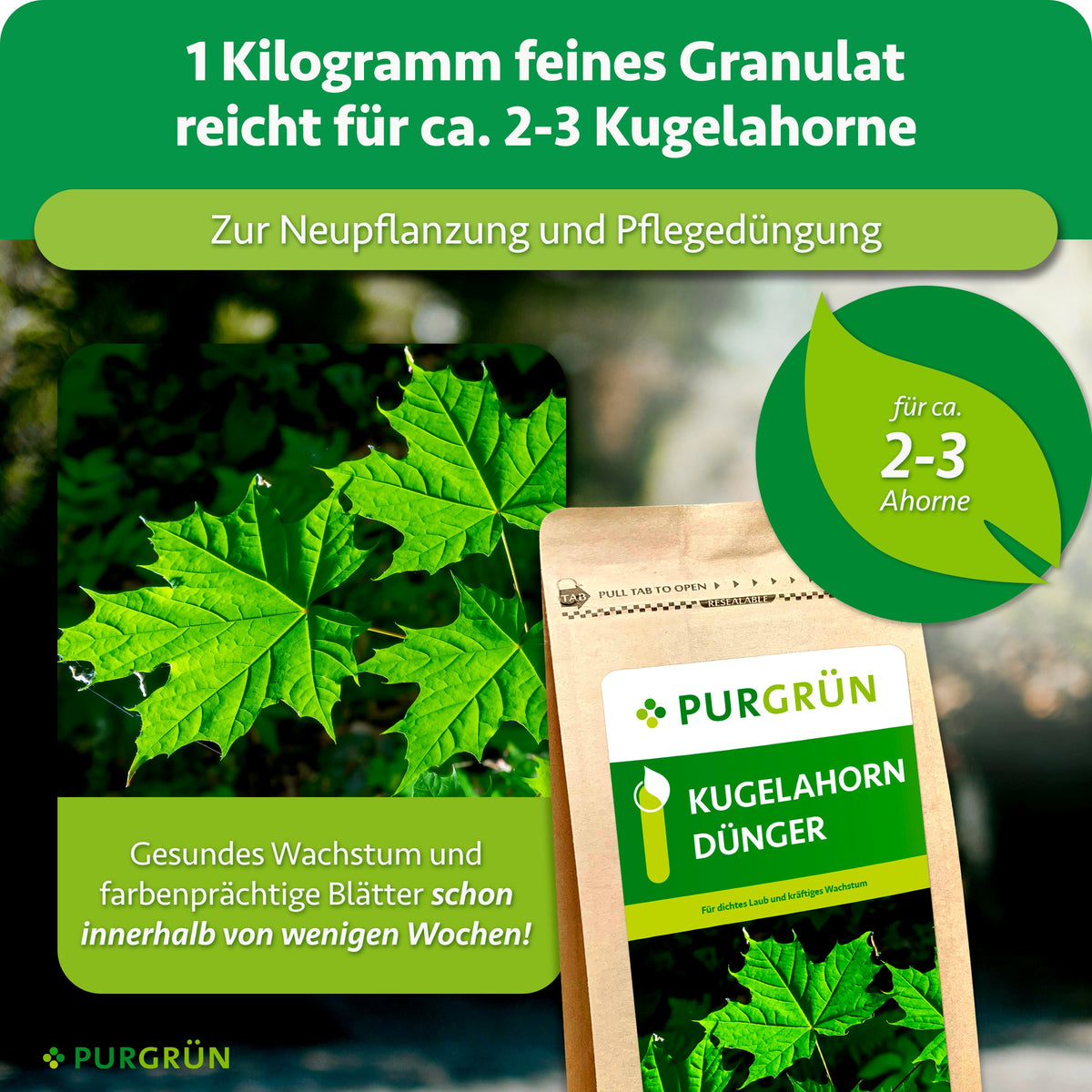 1 kg feines Granulat reicht für ca. 2–3 Kugelahorne zur Neupflanzung und Pflegedüngung; beworben werden gesundes Wachstum und farbenprächtige Blätter innerhalb weniger Wochen.
