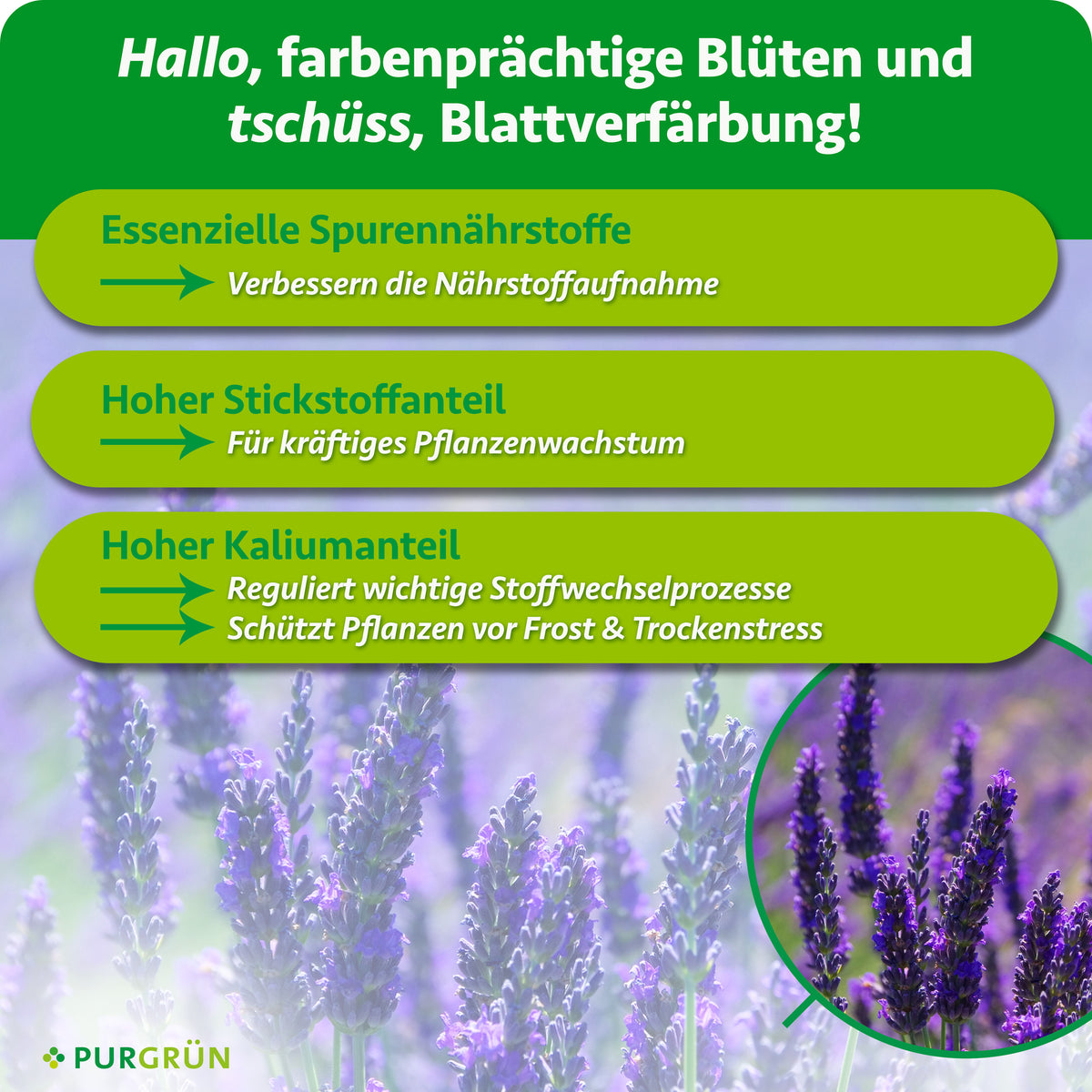 Essenzielle Spurennährstoffe verbessern die Nährstoffaufnahme, ein hoher Stickstoffanteil fördert kräftiges Wachstum und ein hoher Kaliumanteil reguliert Stoffwechselprozesse und schützt vor Frost- und Trockenstress.