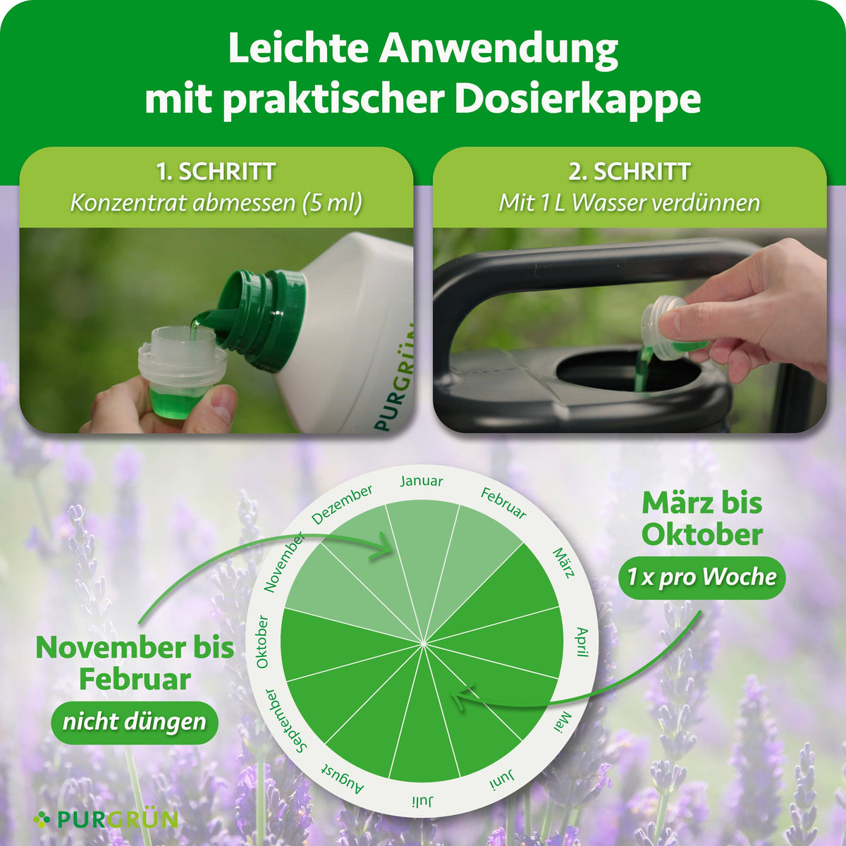 Anwendung: 5 ml Konzentrat abmessen und mit 1 L Wasser verdünnen; von März bis Oktober 1-mal pro Woche düngen, von November bis Februar nicht düngen.