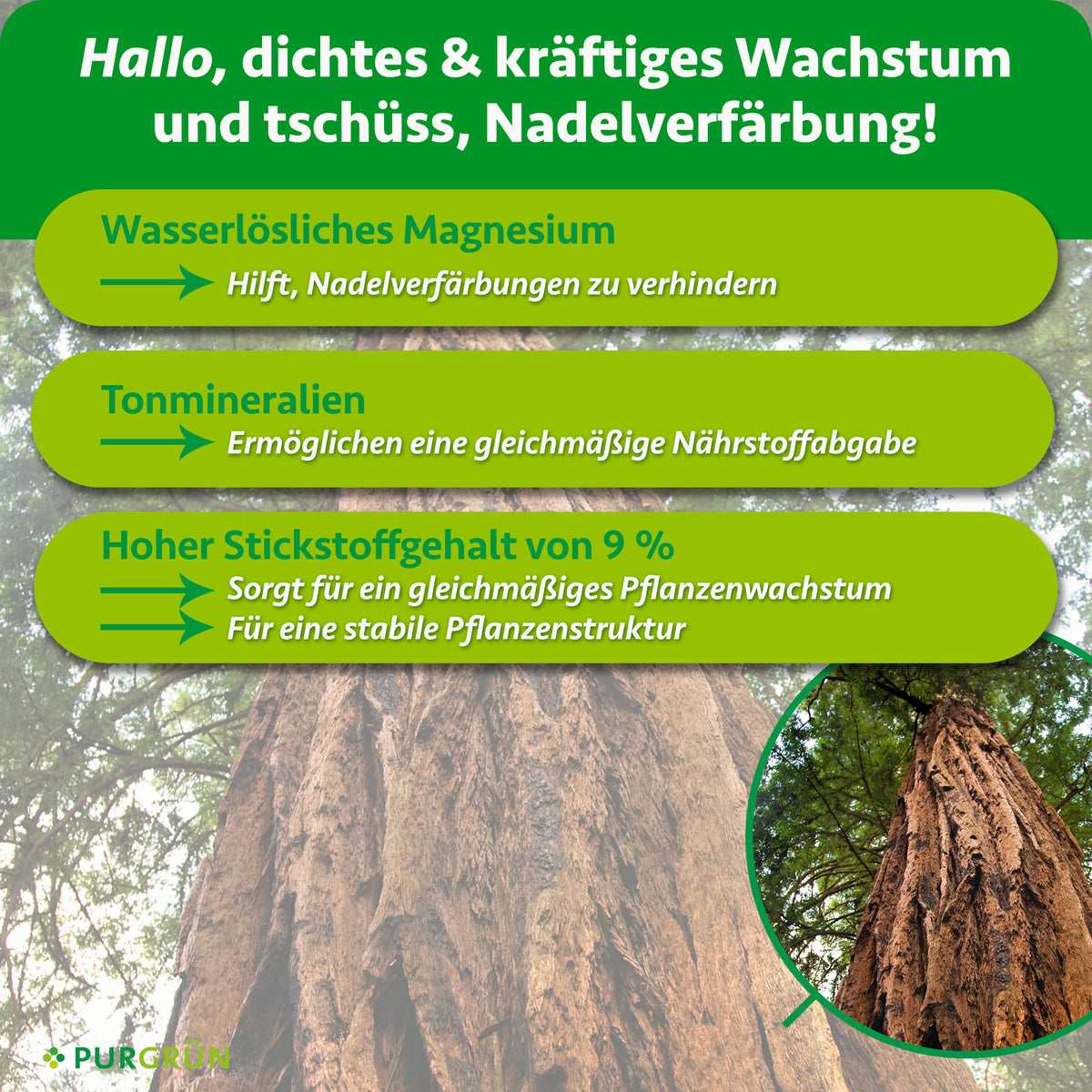 Wasserlösliches Magnesium hilft, Nadelverfärbungen zu verhindern, Tonmineralien ermöglichen eine gleichmäßige Nährstoffabgabe und 9 % Stickstoff sorgen für gleichmäßiges Wachstum und eine stabile Pflanzenstruktur.