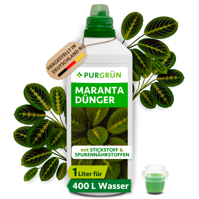 Purgrün Maranta-Dünger in der 1-Liter-Flasche mit Dosierkappe, umgeben von Maranta-Blättern und mit Anhänger „Hergestellt in Deutschland“.