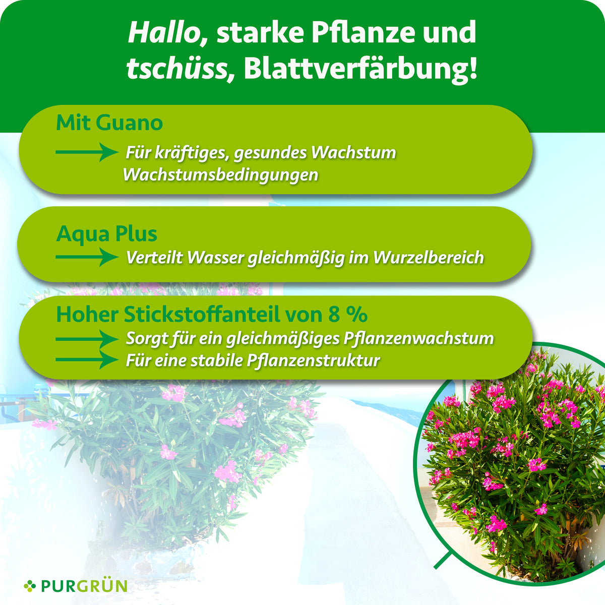 Mit Guano für kräftiges, gesundes Wachstum. Aqua Plus verteilt Wasser gleichmäßig im Wurzelbereich; 8 % Stickstoff sorgen für gleichmäßiges Wachstum und eine stabile Pflanzenstruktur.
