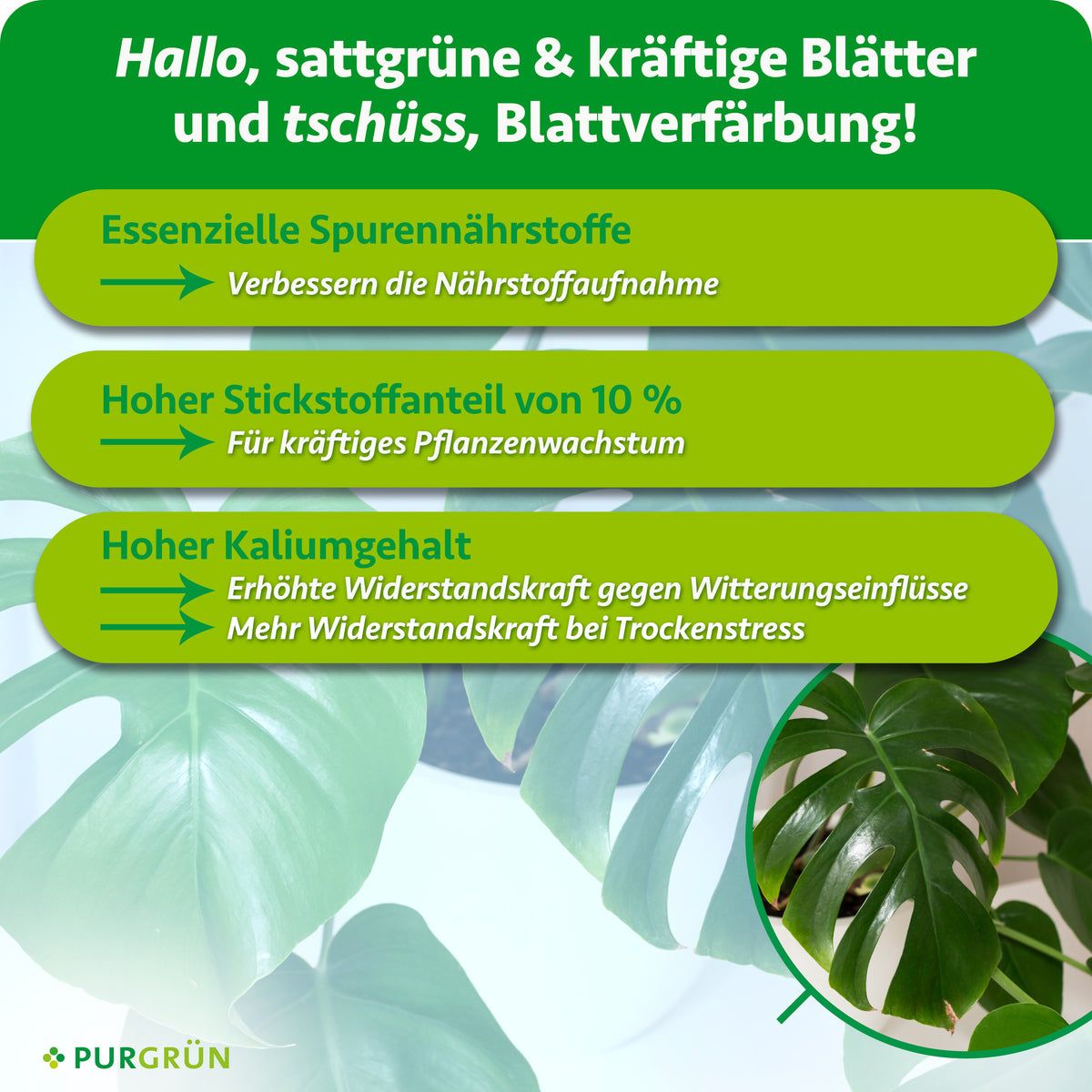 Essenzielle Spurennährstoffe verbessern die Nährstoffaufnahme, 10 % Stickstoff fördern kräftiges Pflanzenwachstum. Ein hoher Kaliumgehalt erhöht die Widerstandskraft gegen Witterungseinflüsse und bei Trockenstress.