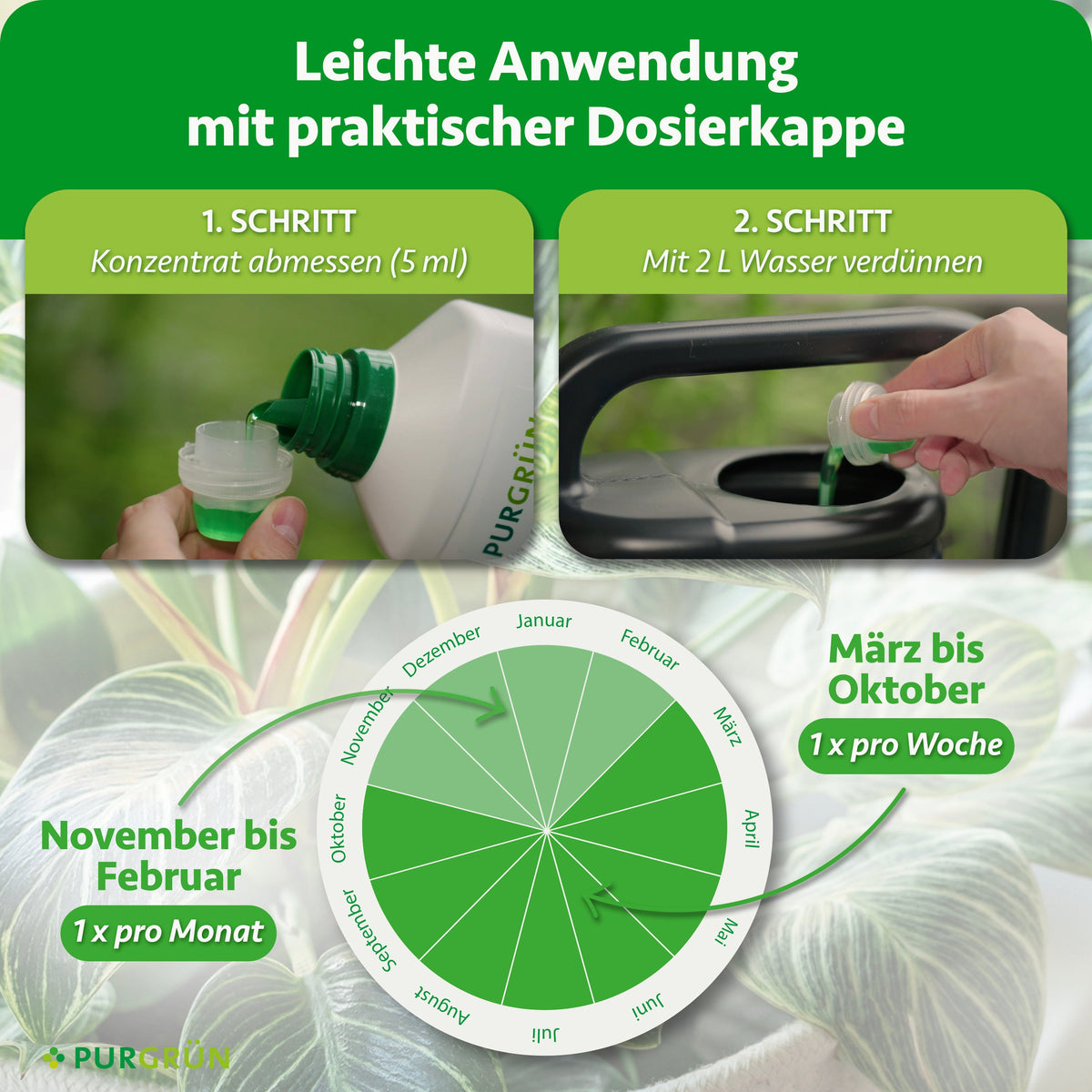 Anwendung: 5 ml Konzentrat mit 2 l Wasser verdünnen; März bis Oktober 1× pro Woche, November bis Februar 1× pro Monat.