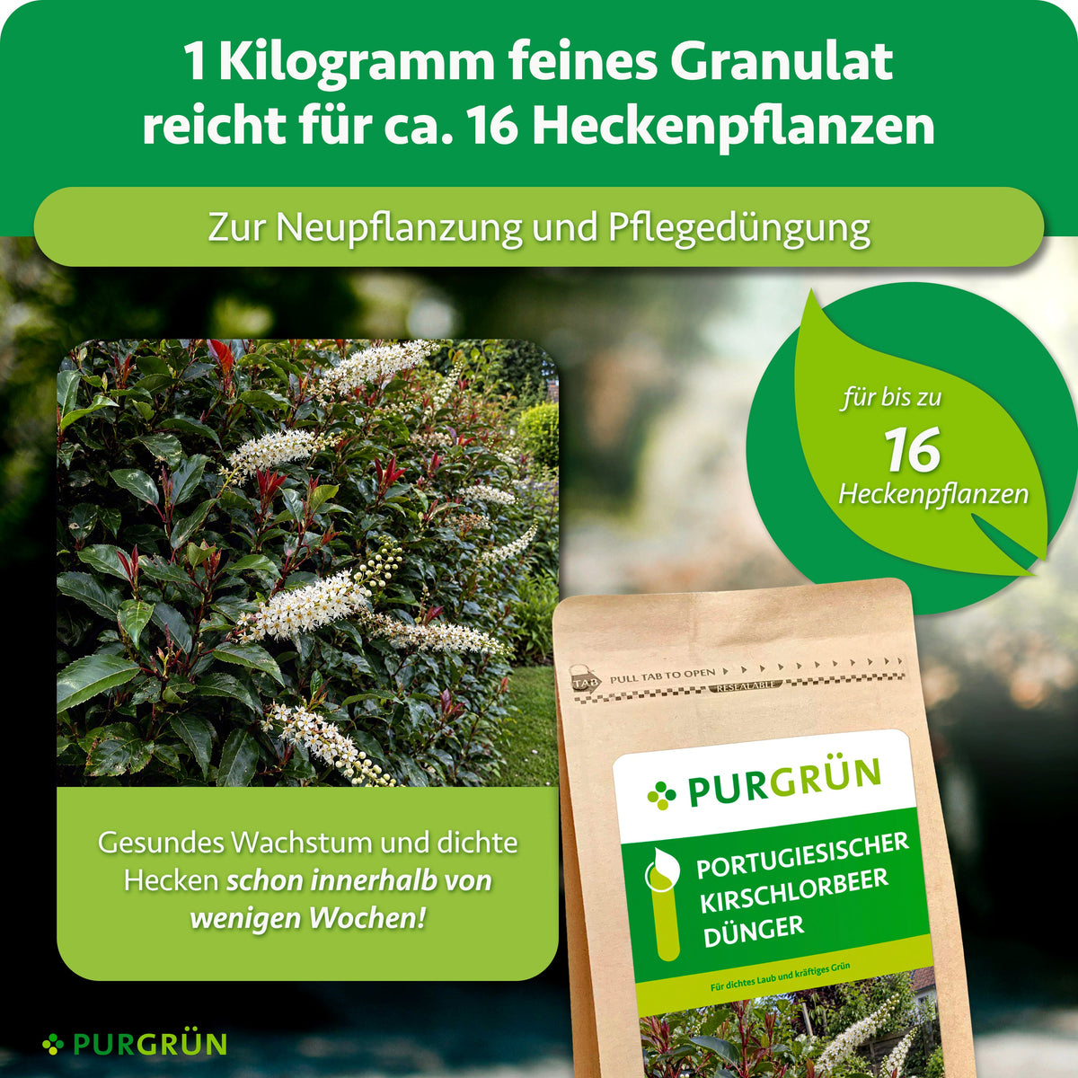 1 kg feines Granulat reicht für ca. 16 Heckenpflanzen und eignet sich zur Neupflanzung sowie Pflegedüngung.