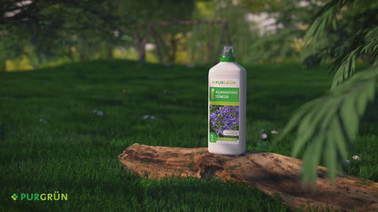 Agapanthus-Dünger 1 Liter