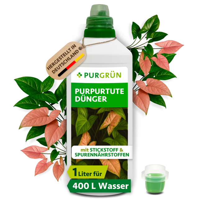 Purgrün Purpurtute-Dünger in der 1-Liter-Flasche mit Dosierkappe, umgeben von Purpurtute-Blättern und mit Anhänger „Hergestellt in Deutschland“.